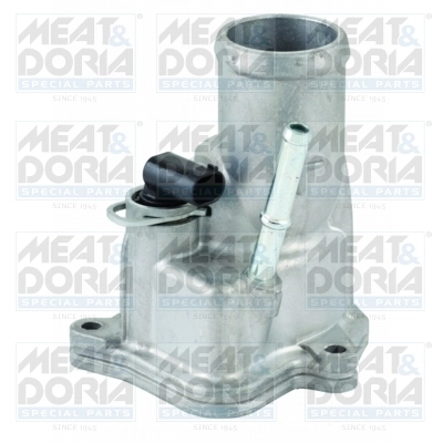 Thermostat, coolant